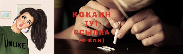 мдпв Инта