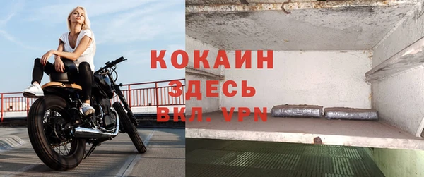 мдпв Инта