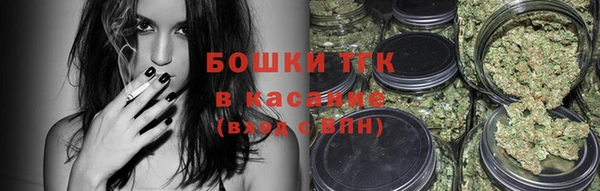 мдпв Инта