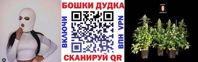 Канабис план  Купить  Ардатов 
